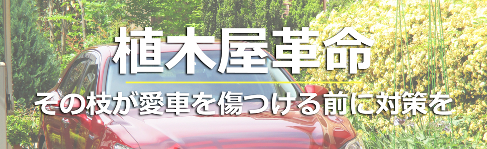 愛車を守るお庭対策「剪定」メイン画像