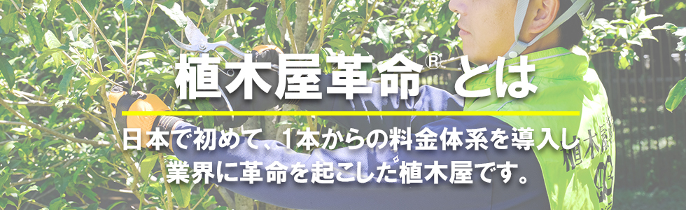 植木屋革命とは、日本で初めて1本からの料金体系を導入し業界に革命を起こした植木屋です