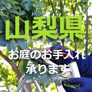 山梨県の植木屋｜剪定・伐採・お庭のお手入れは植木屋革命