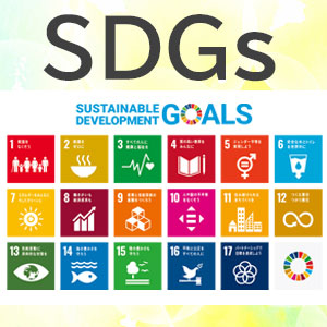  SDGs