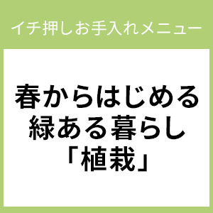 春からはじめる緑ある暮らし「植栽」－イチ押しお手入れメニュー