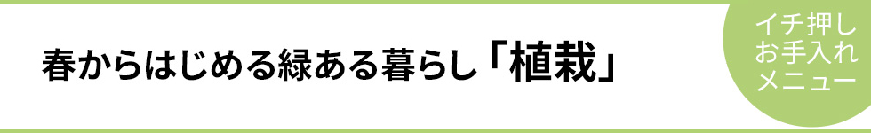 「植栽」春からはじめる緑ある暮らし－イチ押しお手入れメニュー