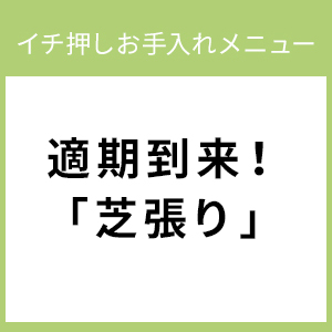 適期到来！「芝張り」－イチ押しお手入れメニュー