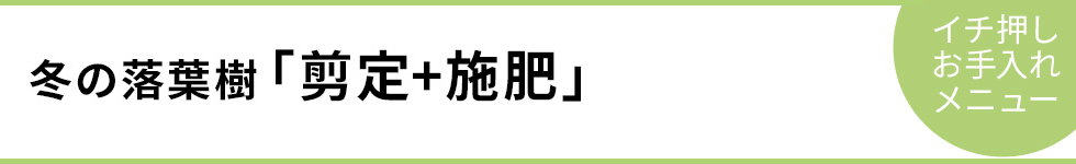 冬の落葉樹「剪定+施肥」－イチ押しお手入れメニュー