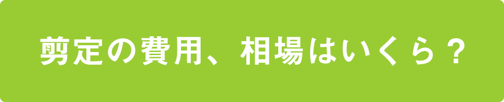 【庭木の剪定】料金の相場はいくら？メイン画像