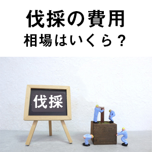 【庭木の伐採】費用の相場はいくら一覧画像