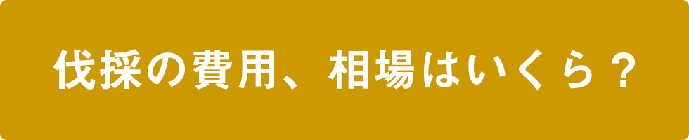 【庭木の伐採】費用の相場はいくら？メイン画像