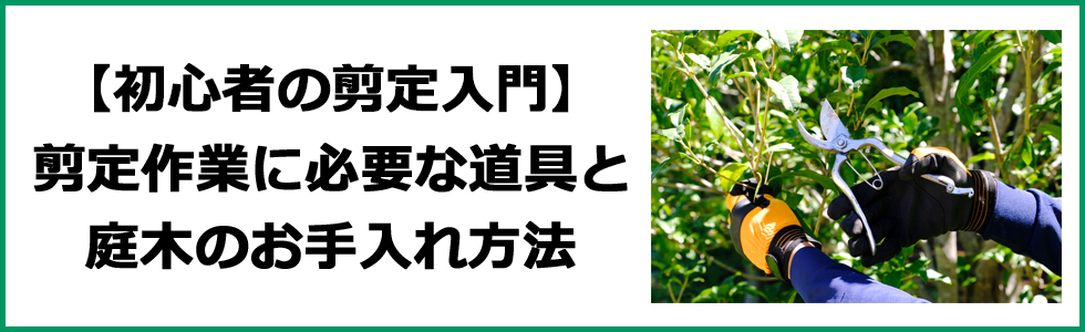 【初心者の剪定入門】選定作業に必要な道具と庭木のお手入れ方法