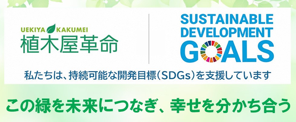  SDGsとは