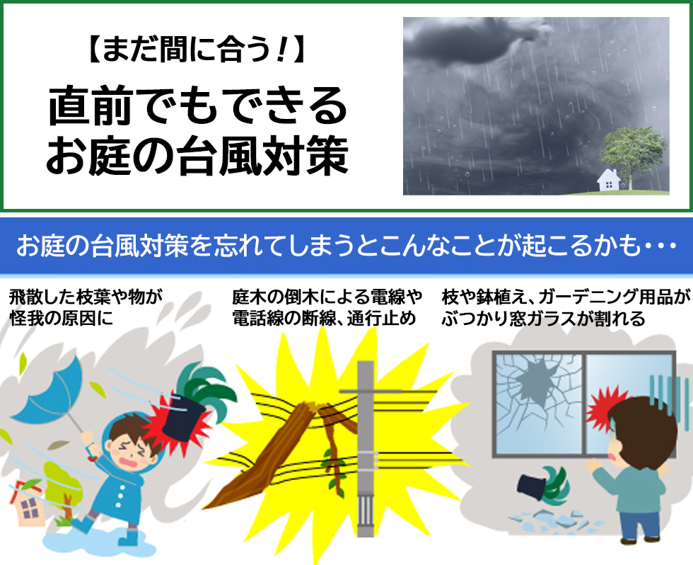 【まだ間に合う！】直前でもできるお庭の台風対策メイン画像