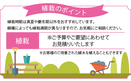 「植栽」春からはじめる緑ある暮らし－イチ押しお手入れメニュー見出し画像4