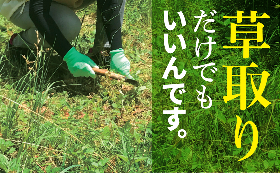 草取りだけでもいいんです,除草,草むしり