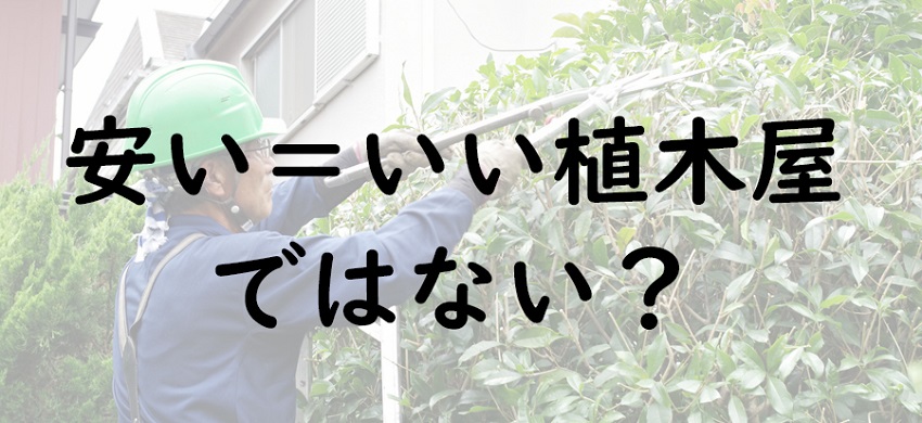 【庭木の剪定】料金の相場はいくら？見出し画像3