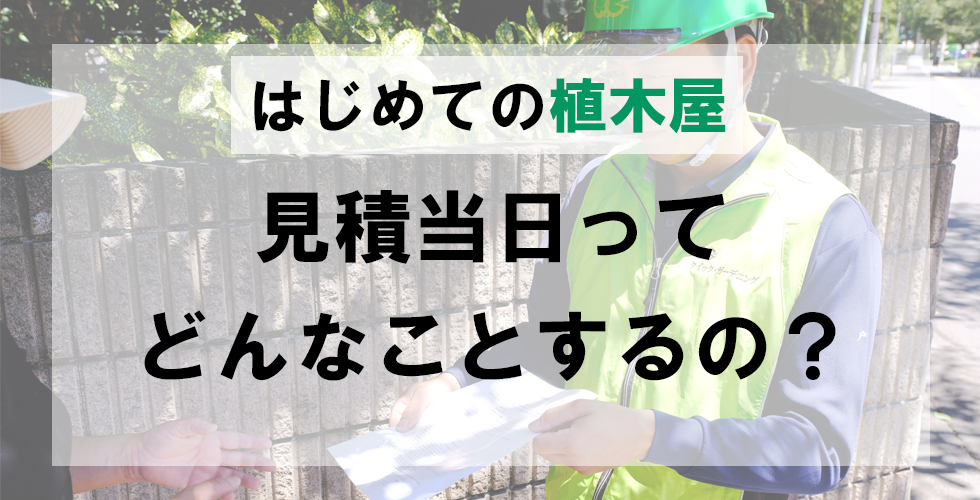 はじめての植木屋【見積編】見積ってどんなことをするの？メイン画像