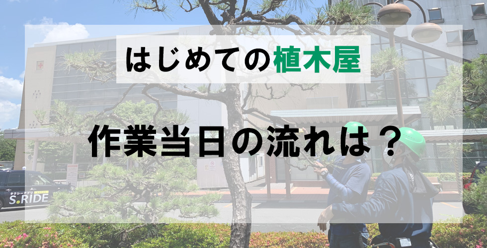 はじめての植木屋【作業編】作業当日の流れは？メイン画像