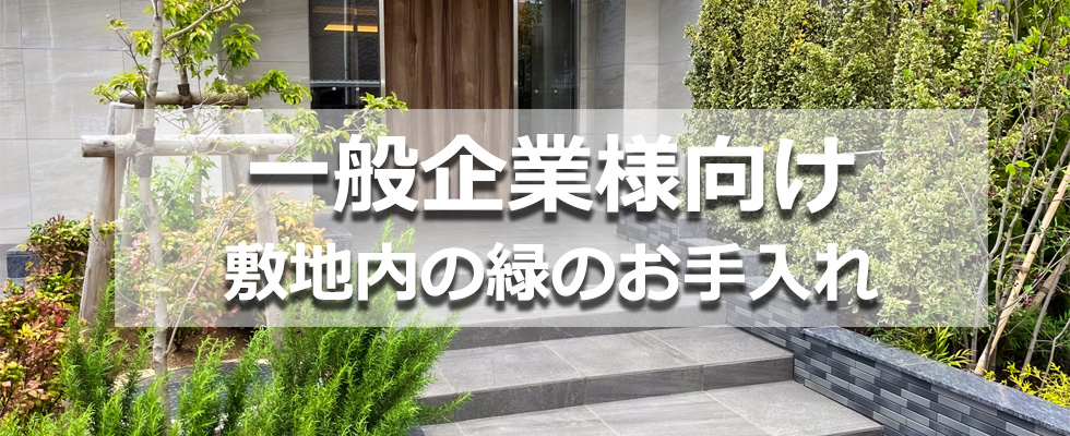 【一般企業様向け】事業所や敷地内にある植栽のお手入れなど法人様向けのページですメイン画像