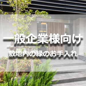 【一般企業様向け】植木屋革命クイック・ガーデニング_敷地内にある緑のお手入れでお困りのご担当者様へ一覧画像