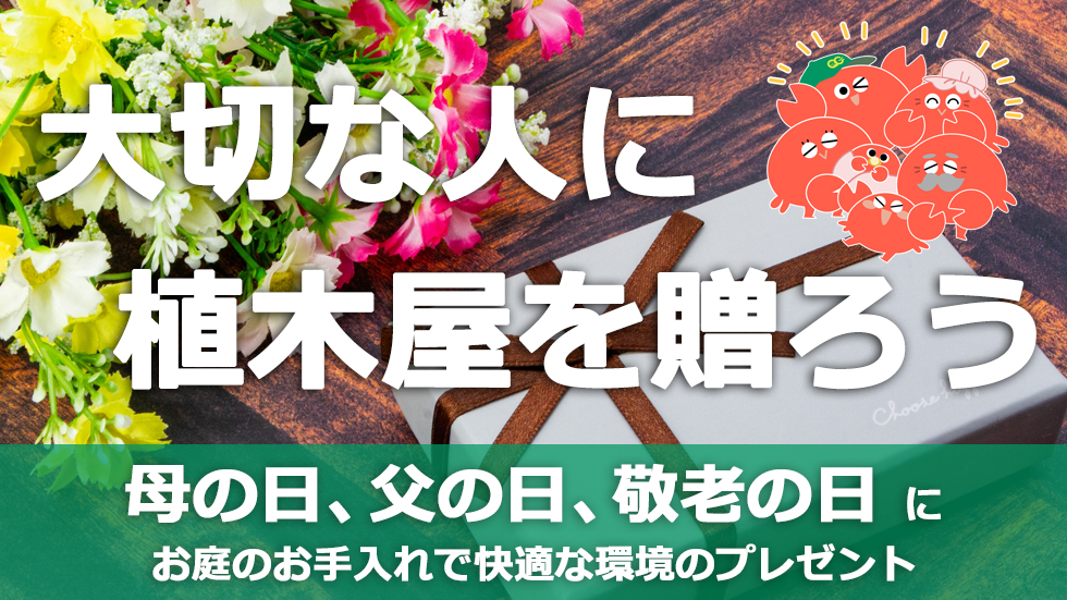 母の日,父の日,敬老の日,ギフト,珍しい,大事な人への贈り物。『 植木屋 』をプレゼントしませんか？