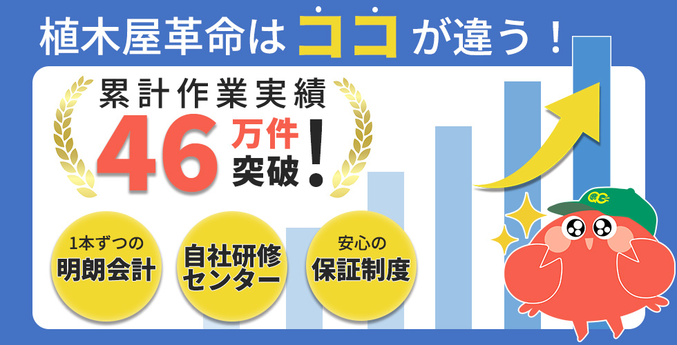 植木屋革命はココが違う！
