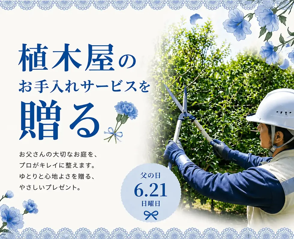 父の日,ギフト,珍しい,大事な人への贈り物。『 植木屋 』をプレゼントしませんか?
