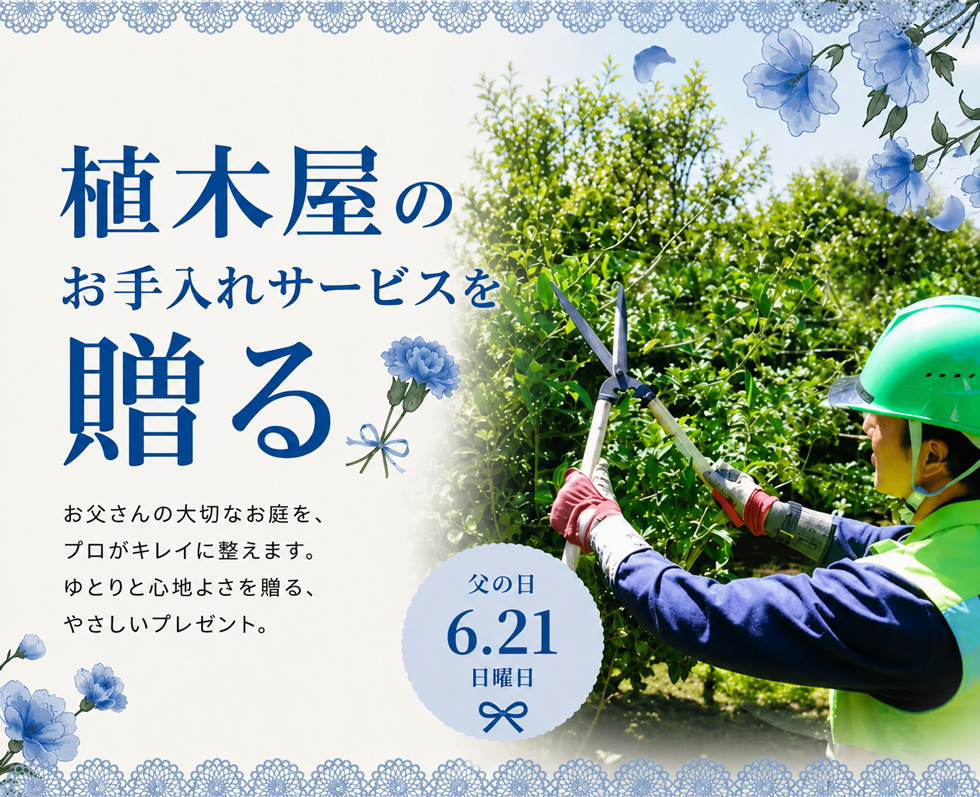 父の日,ギフト,珍しい,大事な人への贈り物。『 植木屋 』をプレゼントしませんか?