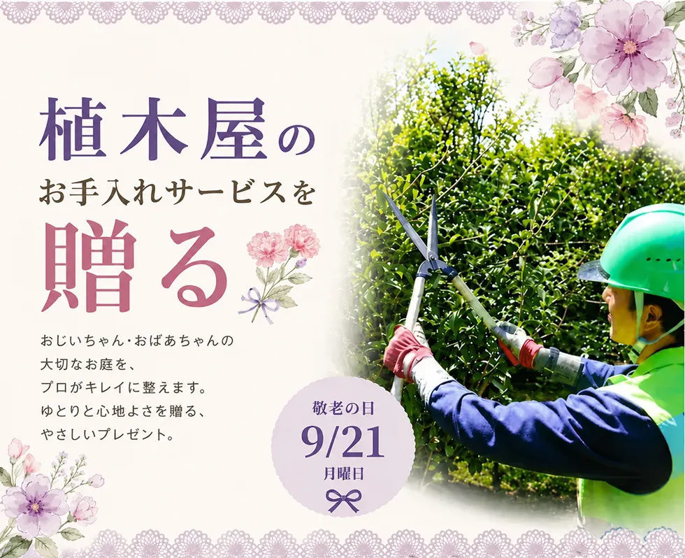敬老の日,ギフト,珍しい,大事な人への贈り物。『 植木屋 』をプレゼントしませんか?