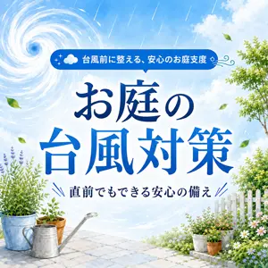 庭木の台風対策