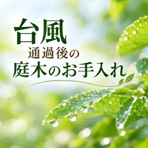 台風通過後のお庭のお手入れ一覧画像