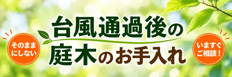 台風通過後のお庭のお手入れメイン画像