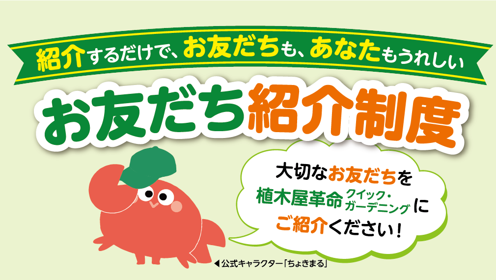 リピーター様向けお友達紹介制度のご案内メイン画像