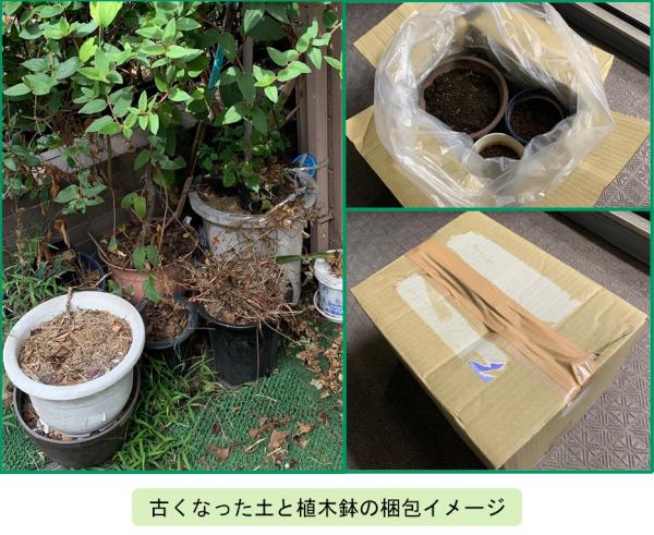 ※募集終了しました※【募集】古くなった土が入った植木鉢やプランターをお送りください！