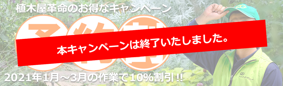 【お知らせ】予約割の受付を終了いたしました