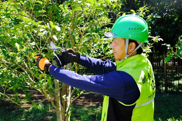 TOKYO働き方改革宣言企業として紹介されました！