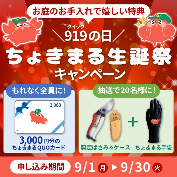 ～919の日～ちょきまる生誕祭キャンペーン