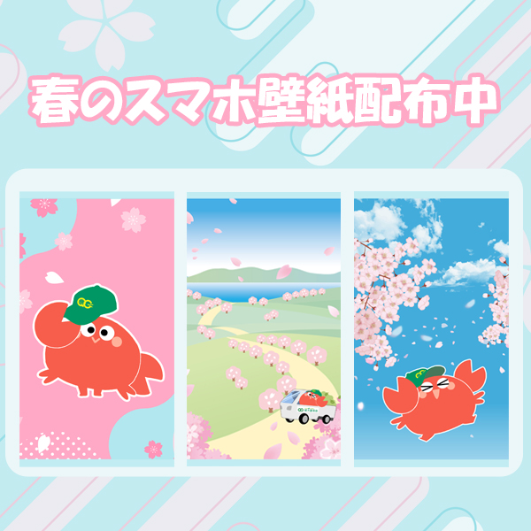 【無料】スマホを見るたび癒される！春の壁紙配布中