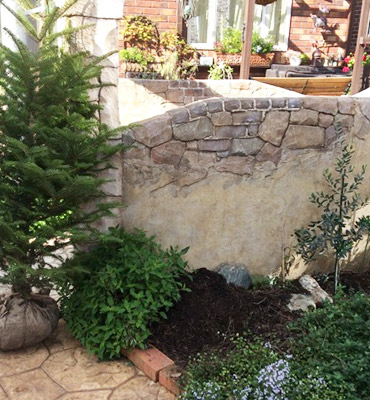 植栽・移植Befoer