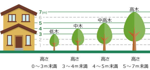 庭木の高さ