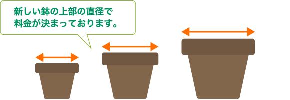 明朗会計な料金表 植木屋革命 庭木のお手入れ 剪定 伐採はクイック ガーデニングへ 明朗会計な料金表 植木屋革命 庭木のお手入れ 剪定 伐採はクイック ガーデニングへ