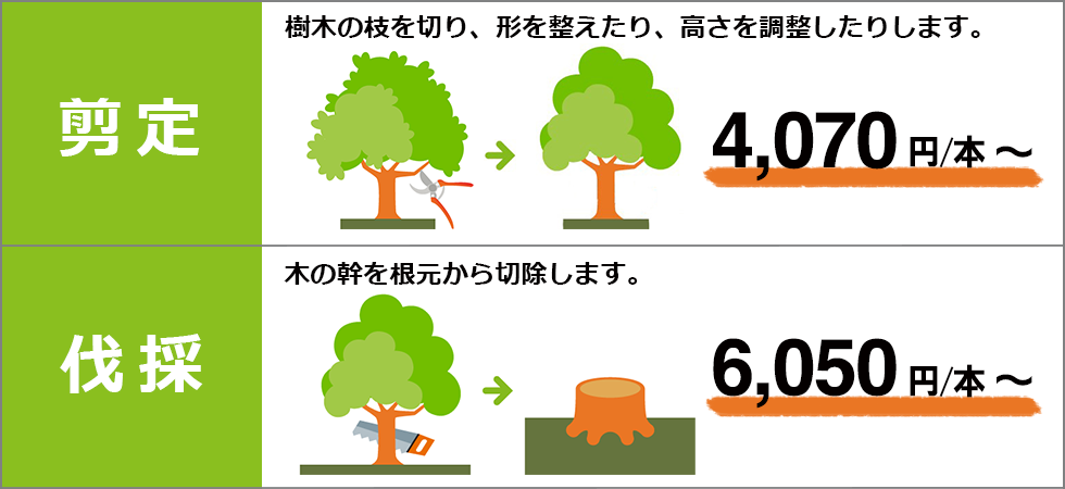 東京都｜庭木の高さ目安
