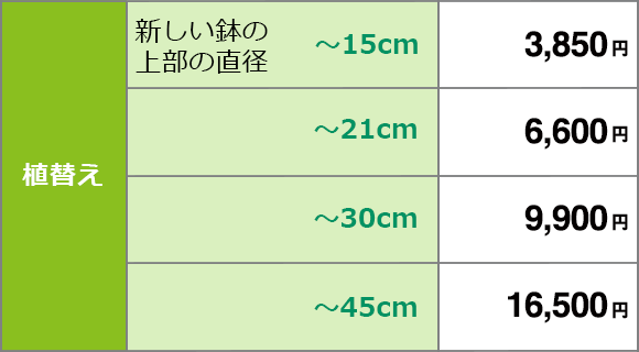 植木鉢の植え替えの料金表