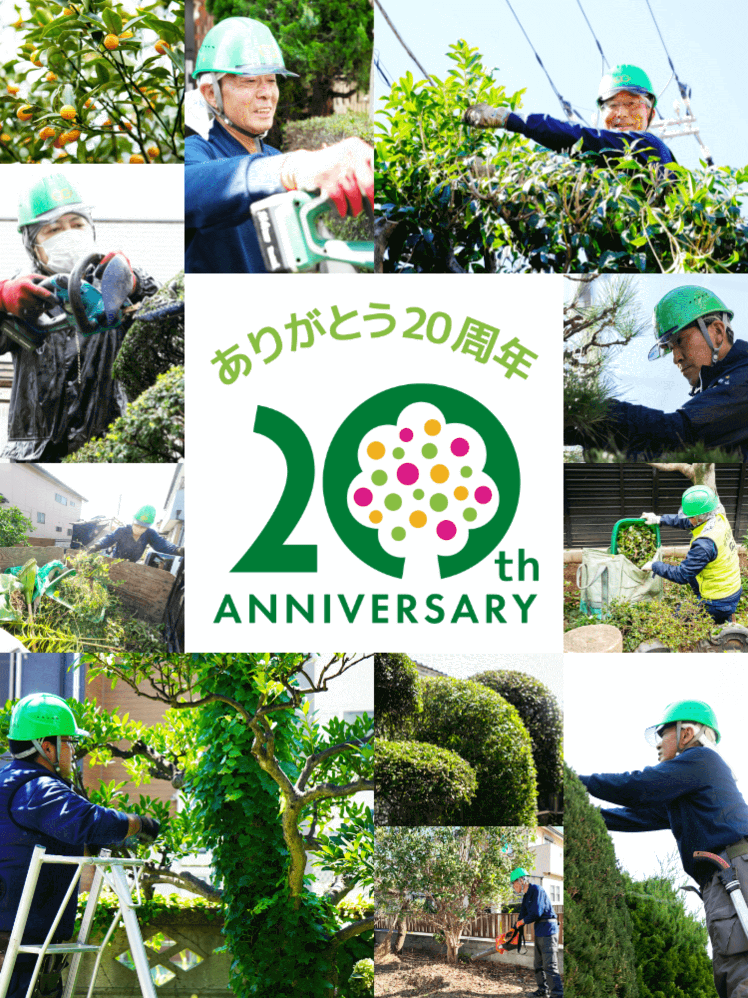 植木屋革命｜20周年記念特設サイト