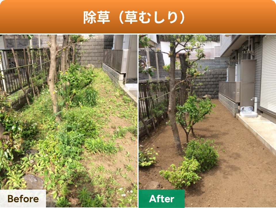除草（草むしり）