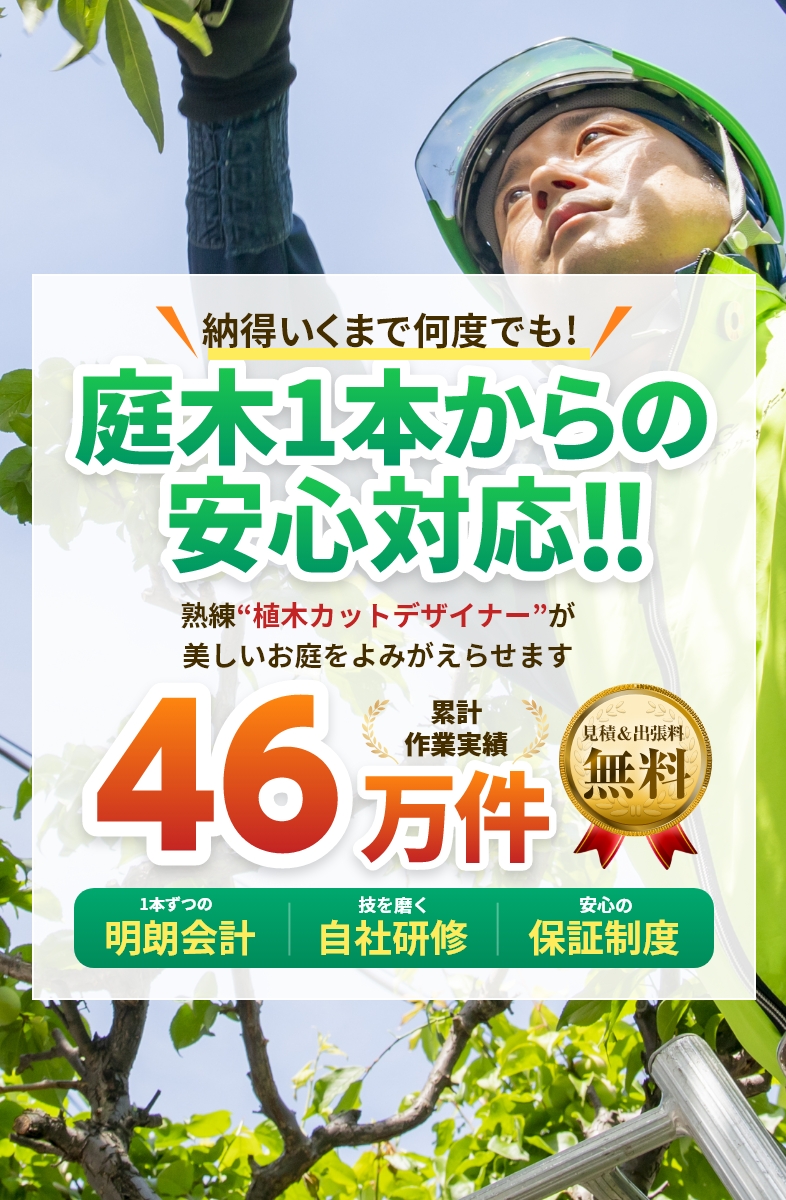 納得いくまで何度でも!庭木1本からの安心対応!!熟練“植木カットデザイナー”が美しいお庭をよみがえらせます