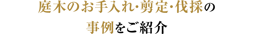 庭木のお手入れ・剪定・伐採の事例をご紹介