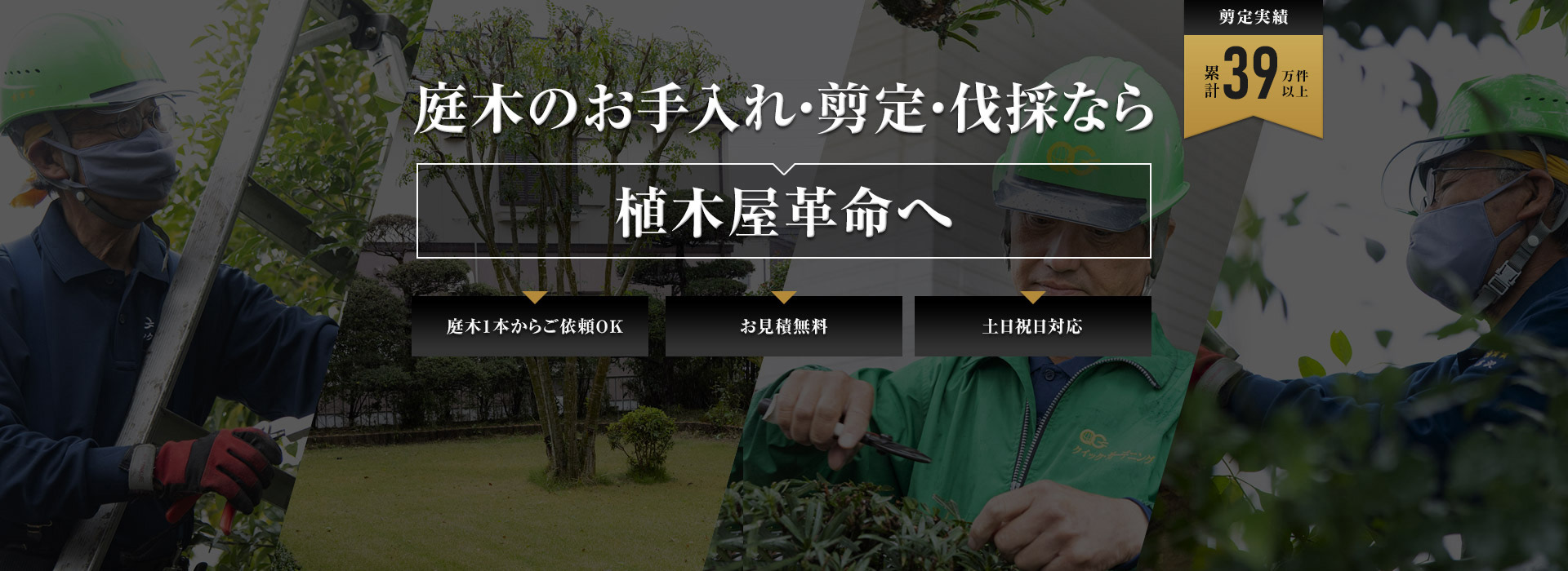 庭木のお手入れ・剪定・伐採なら植木屋革命へ
