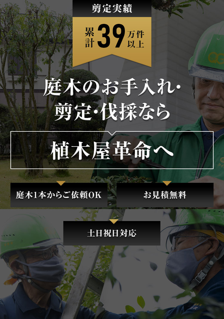 庭木のお手入れ・剪定・伐採なら植木屋革命へ