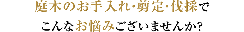 庭木のお手入れ・剪定・伐採でこんなお悩みございませんか？