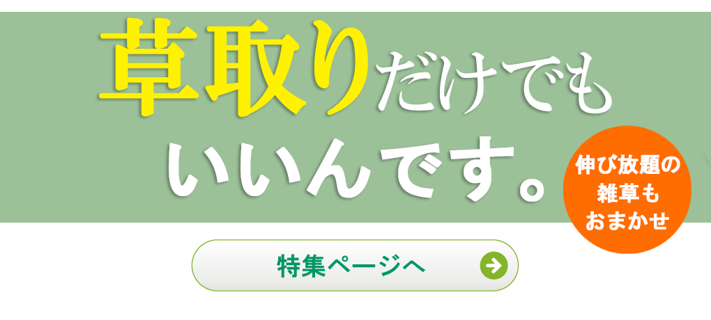 除草,草取り,草取りだけでもいいんです