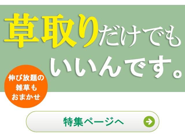 除草,草取り,草取りだけでもいいんです