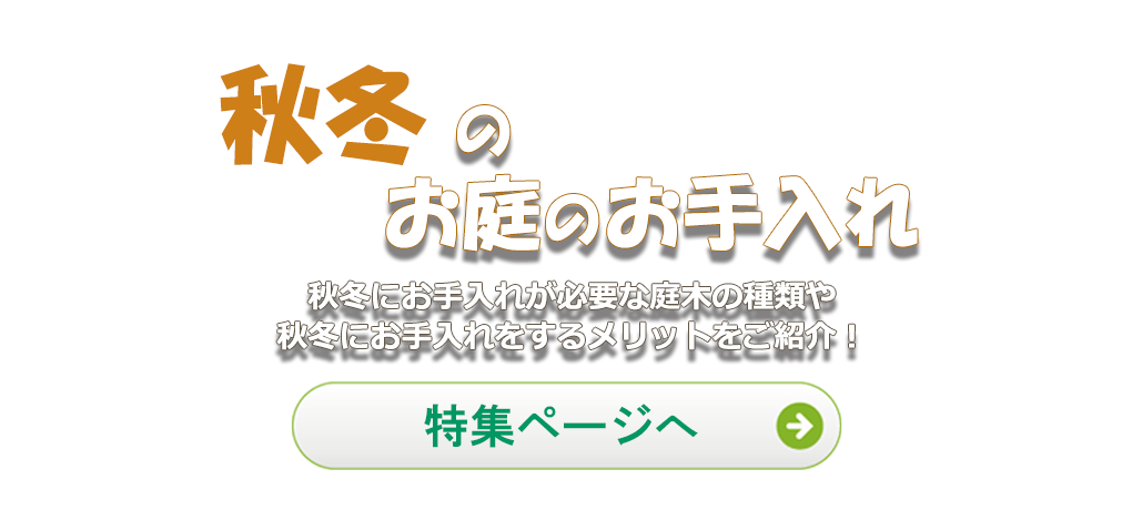 秋冬の庭のお手入れ